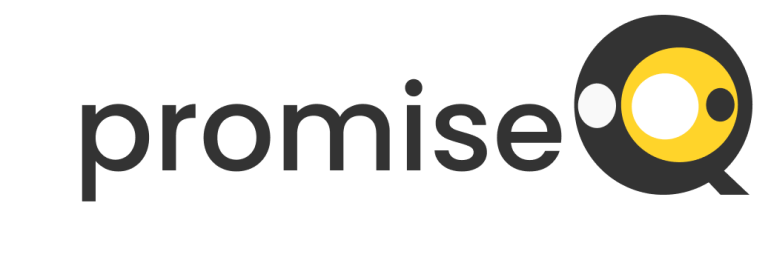 promise Logo startup